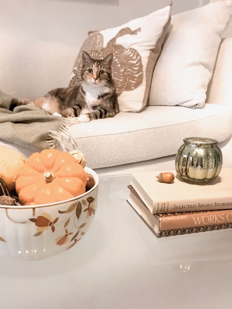 Subtle Hues of Autumn: Embracing a Muted Palette in Fall Decor